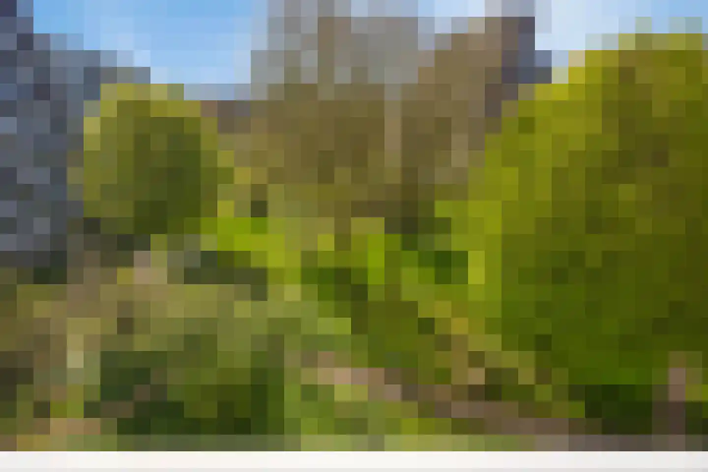 Curieplaats 121 Rotterdam thumbnail 5