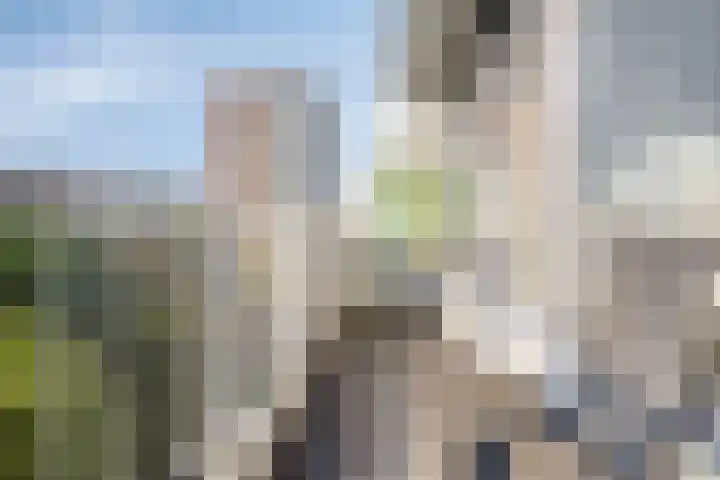 Curieplaats 193 Rotterdam thumbnail 11