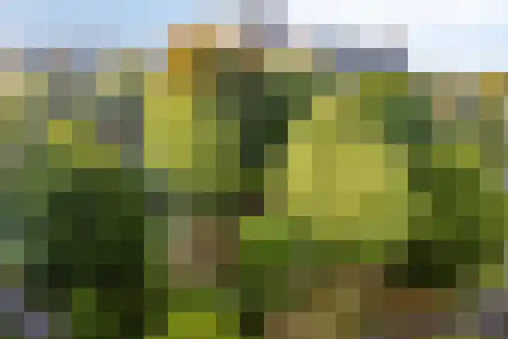 Curieplaats 193 Rotterdam thumbnail 19