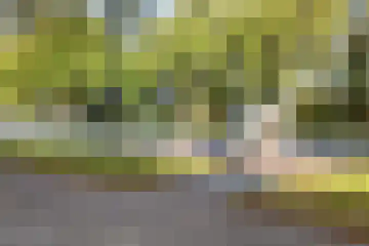 Curieplaats 193 Rotterdam thumbnail 20