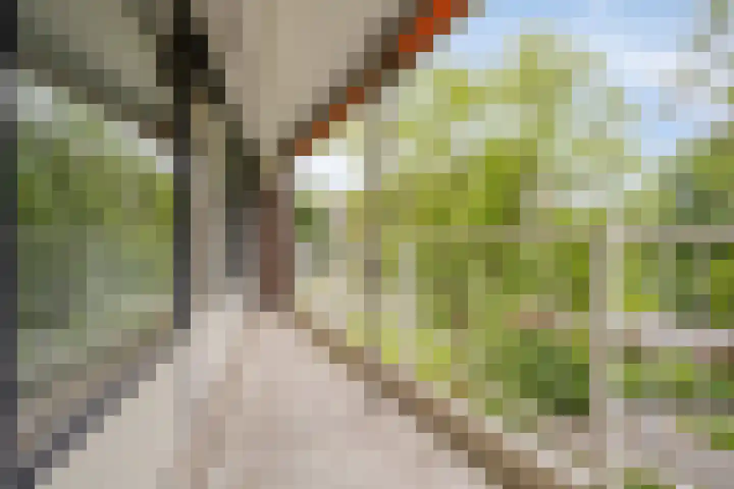 Curieplaats 289 Rotterdam thumbnail 24