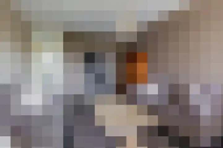 Curieplaats 331 Rotterdam thumbnail 11