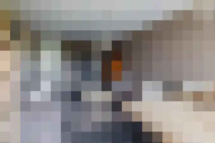 Curieplaats 331 Rotterdam thumbnail 14