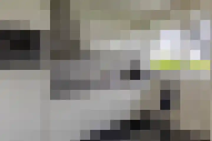Curieplaats 331 Rotterdam thumbnail 16