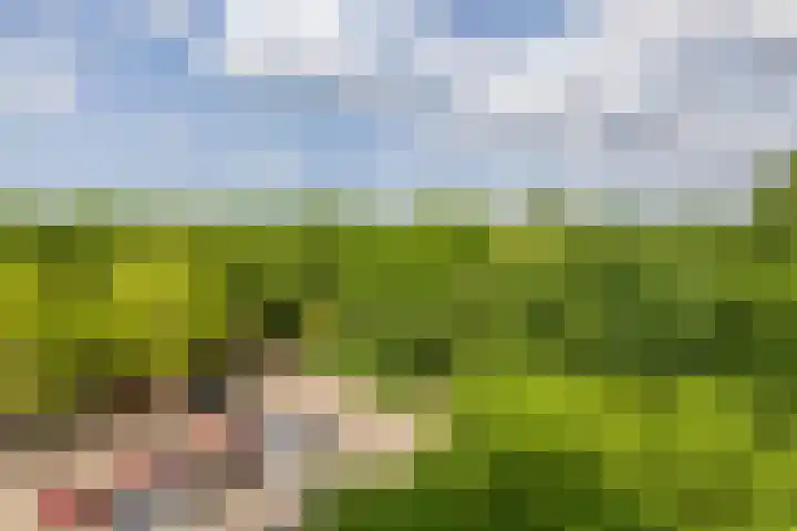 Curieplaats 331 Rotterdam thumbnail 22