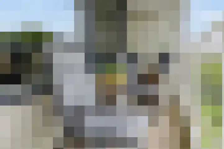 Curieplaats 331 Rotterdam thumbnail 30