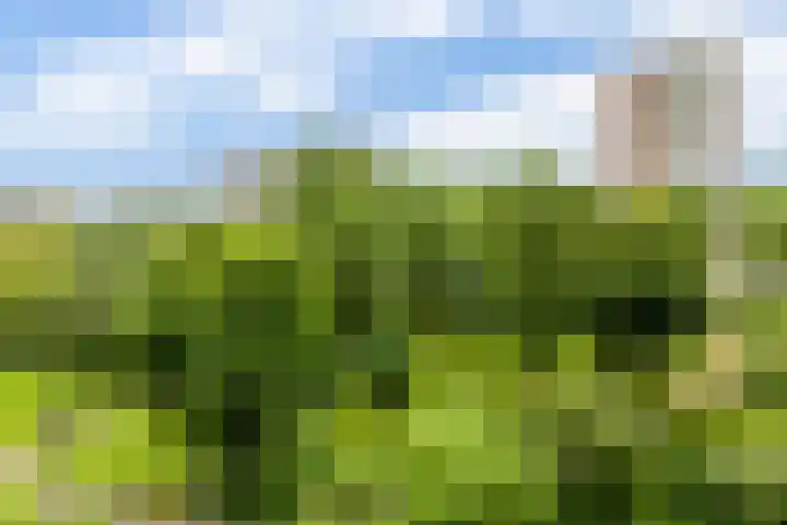 Curieplaats 331 Rotterdam thumbnail 34