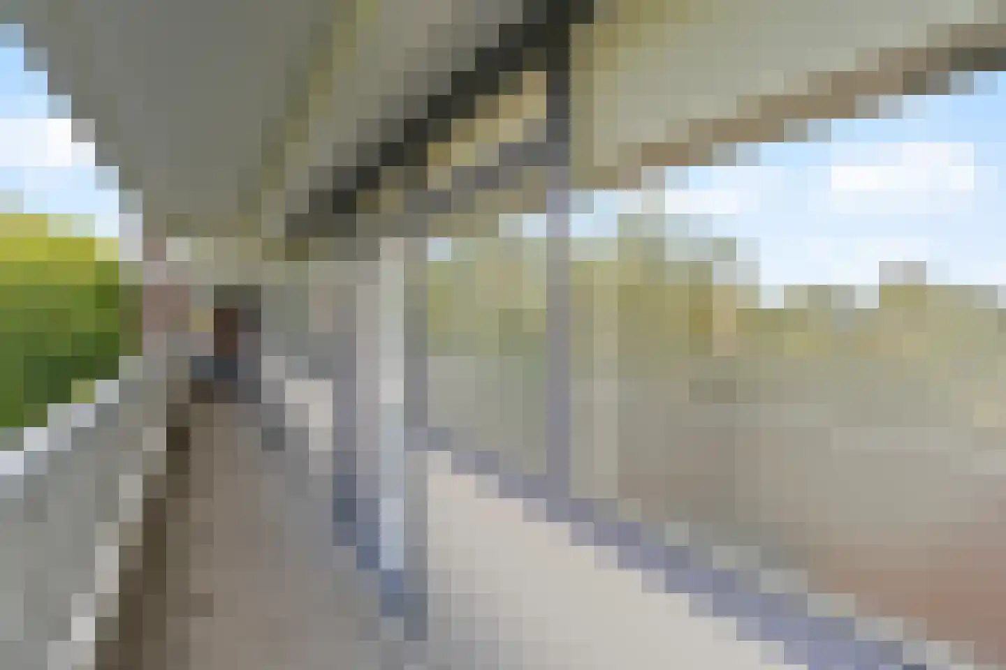 Curieplaats 339 Rotterdam thumbnail 27