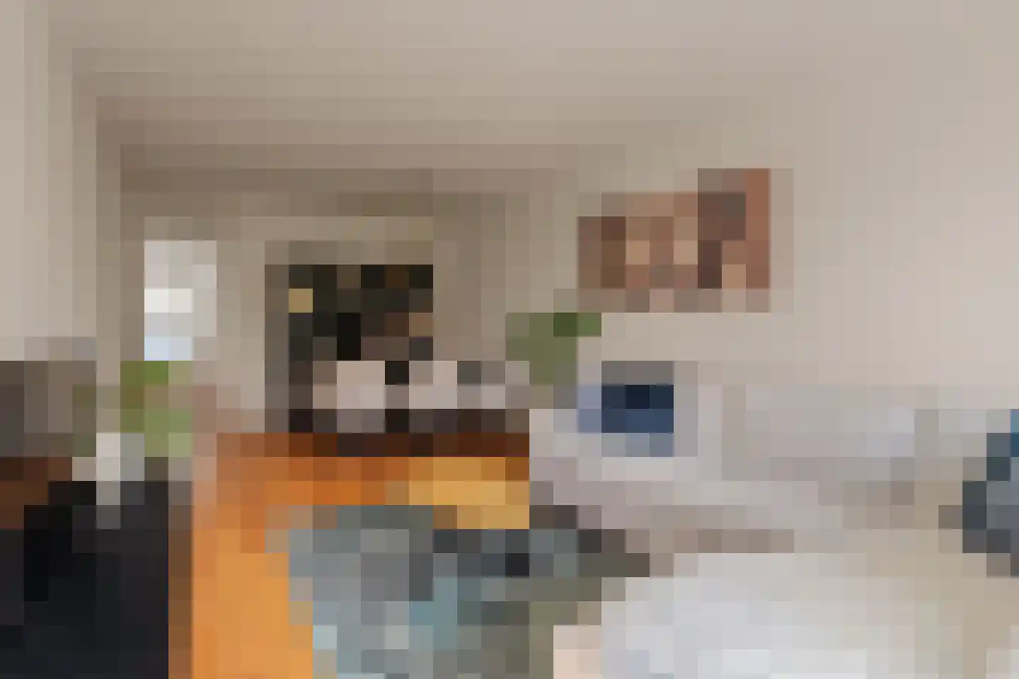 Curieplaats 339 Rotterdam thumbnail 7