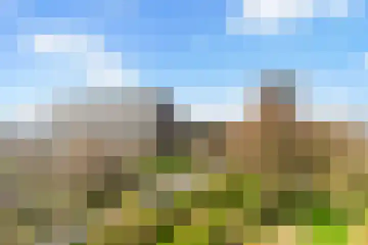 Curieplaats 383 Rotterdam thumbnail 23
