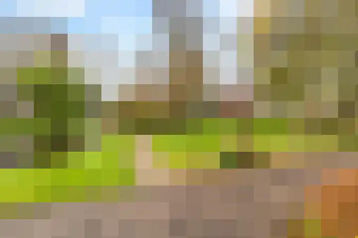 Curieplaats 383 Rotterdam thumbnail 25