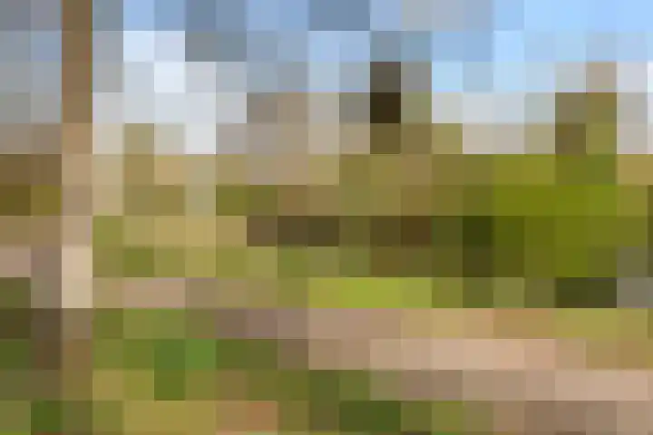 Curieplaats 383 Rotterdam thumbnail 26