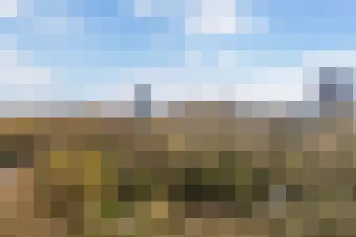 Curieplaats 383 Rotterdam thumbnail 27