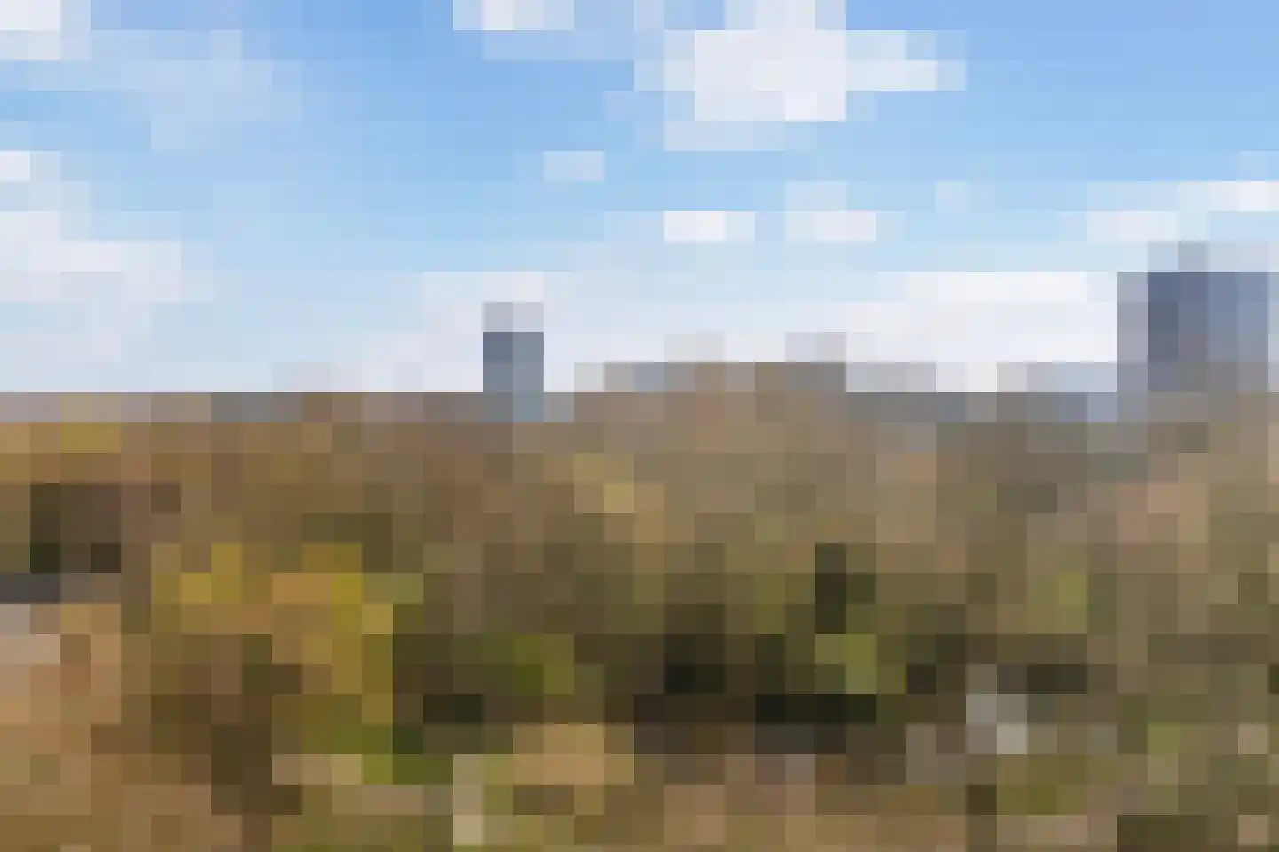Curieplaats 383 Rotterdam thumbnail 18
