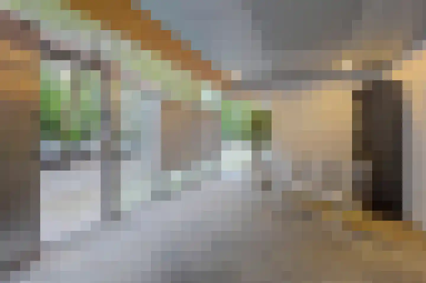 Curieplaats 387 Rotterdam thumbnail 11