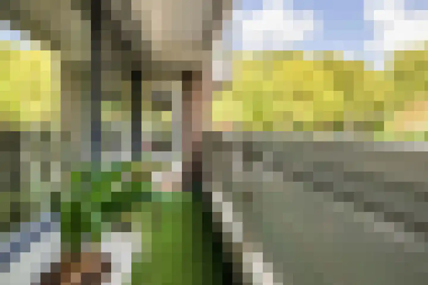 Curieplaats 43 Rotterdam thumbnail 26