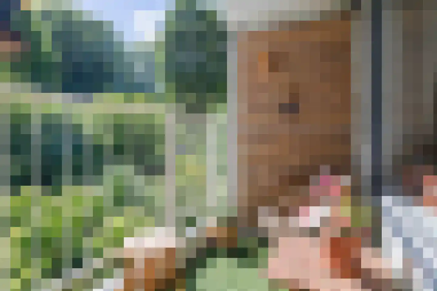 Curieplaats 43 Rotterdam thumbnail 43