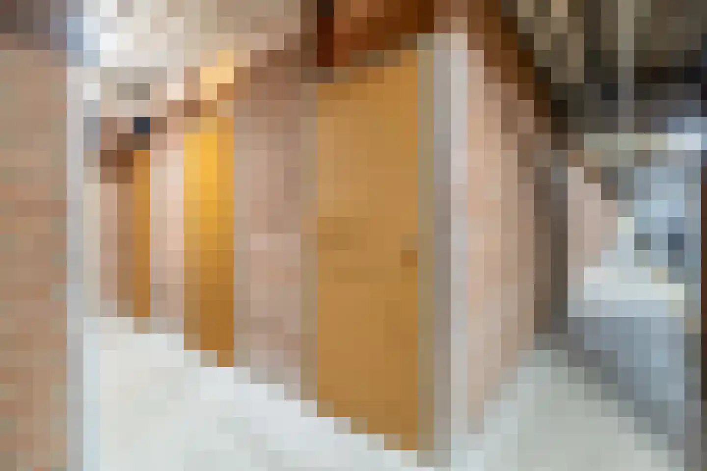 Curieplaats 43 Rotterdam thumbnail 50