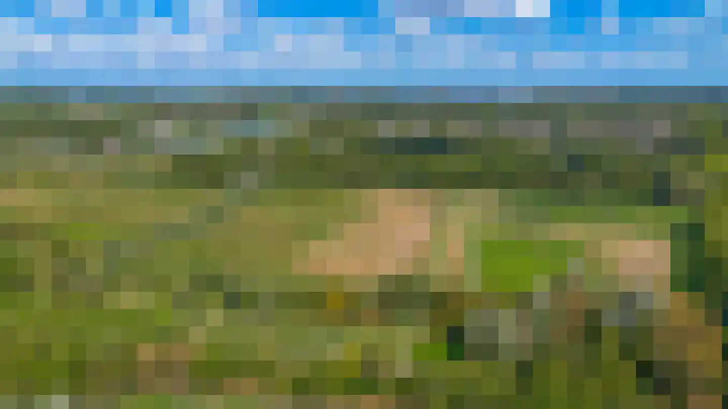 Curieplaats 43 Rotterdam thumbnail 54