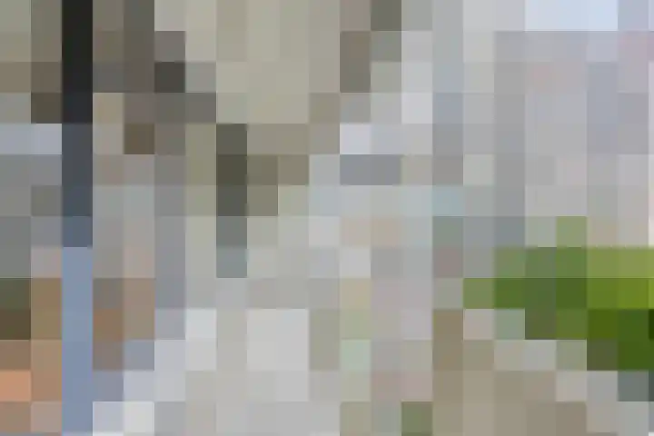 Curieplaats 59 Rotterdam thumbnail 10