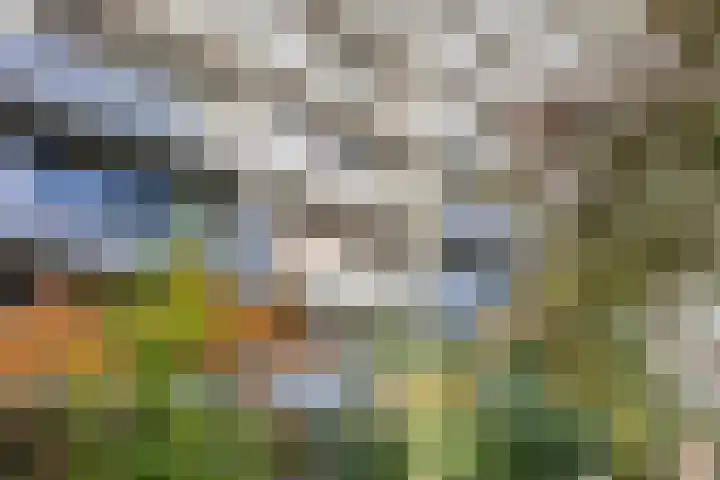 Curieplaats 59 Rotterdam thumbnail 19