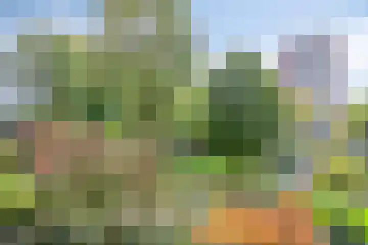 Curieplaats 59 Rotterdam thumbnail 25