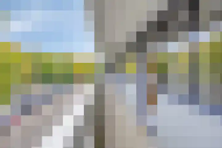 Curieplaats 59 Rotterdam thumbnail 31