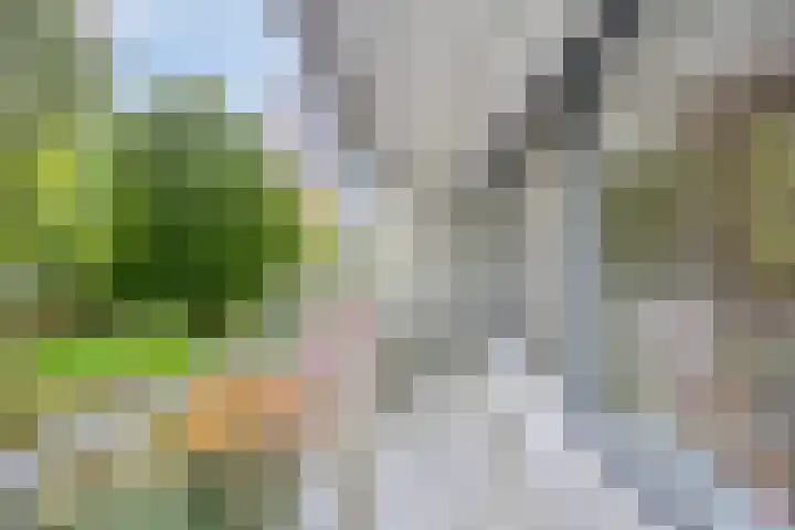 Curieplaats 59 Rotterdam thumbnail 9