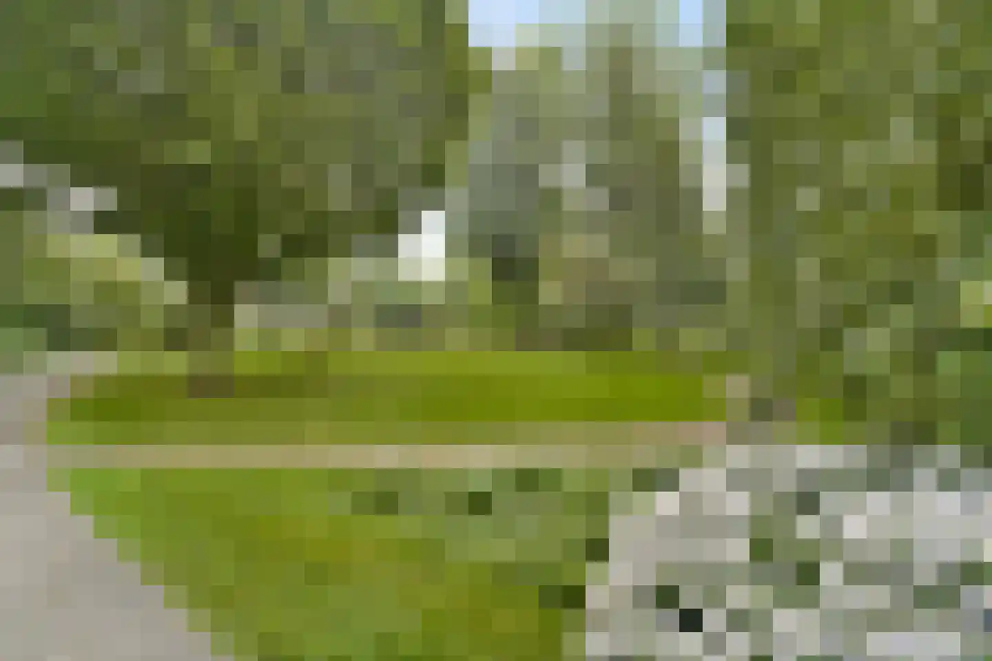 Curieplaats 89 Rotterdam thumbnail 22