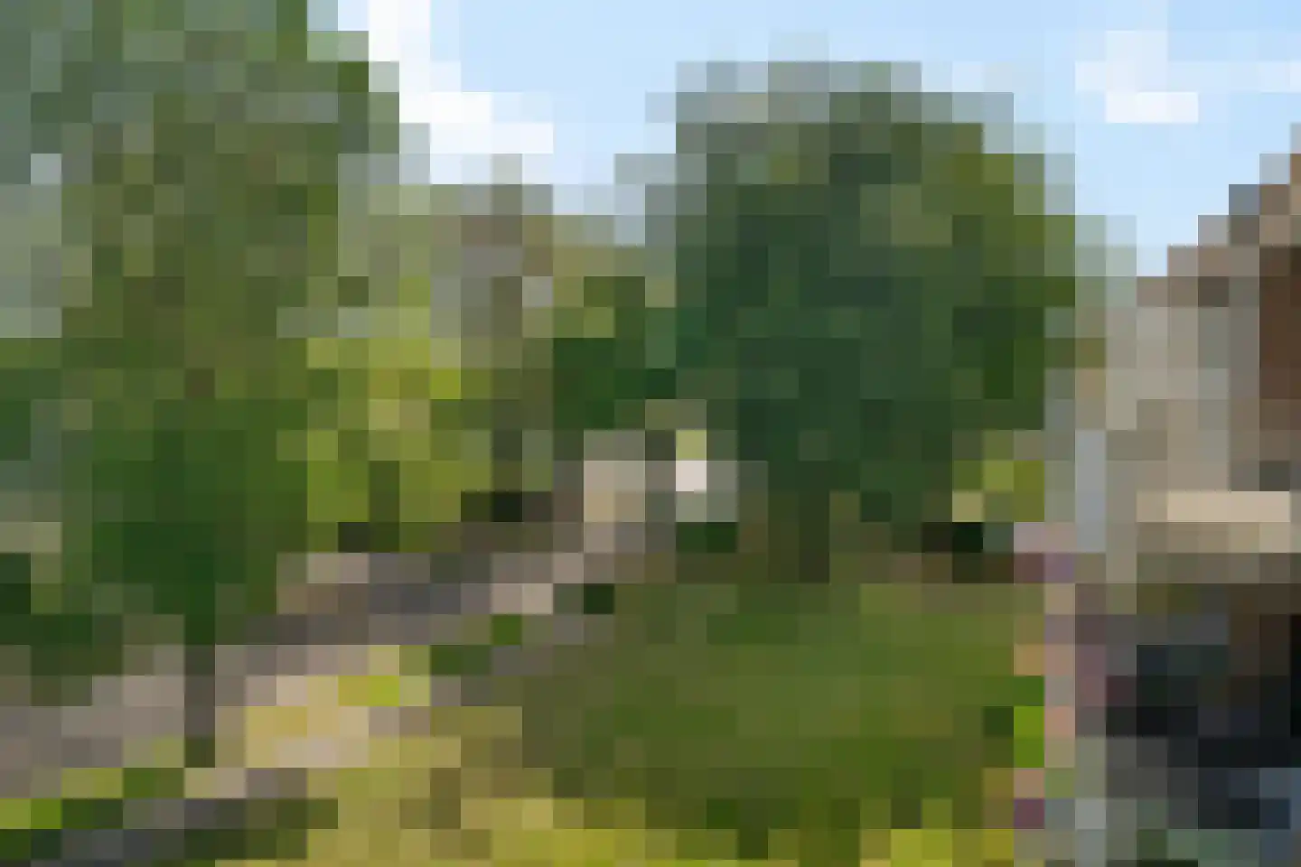 Curiestraat 149 Hengelo thumbnail 25