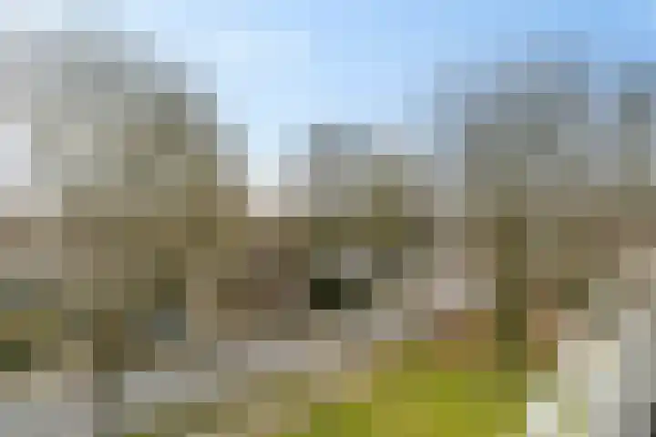 Curiestraat 151 Hengelo thumbnail 34
