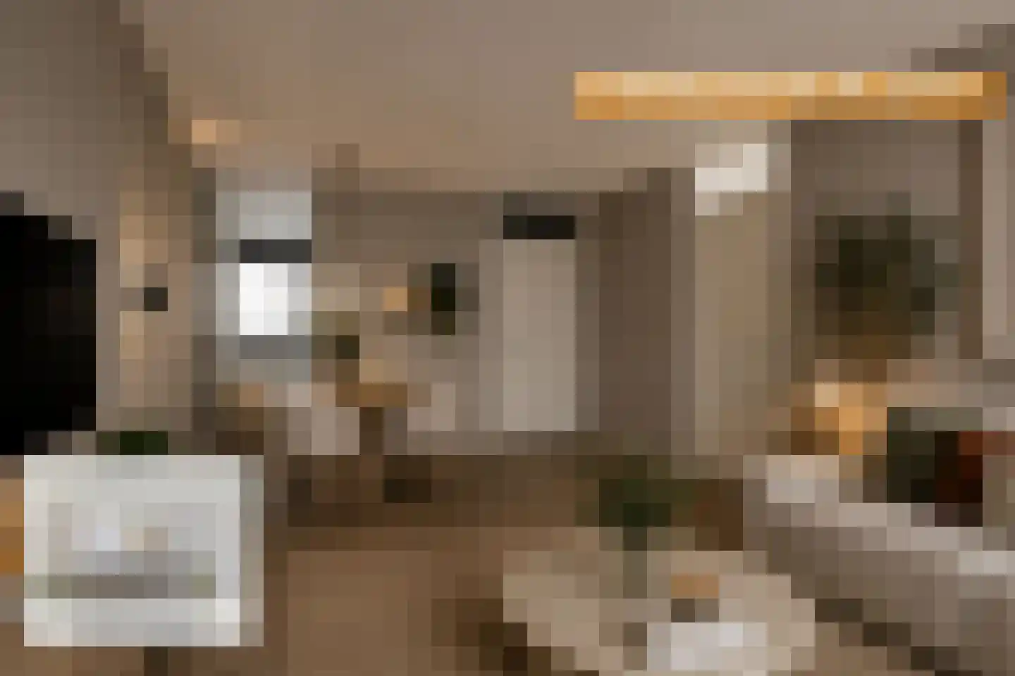 Curiestraat 19 Hengelo thumbnail 24