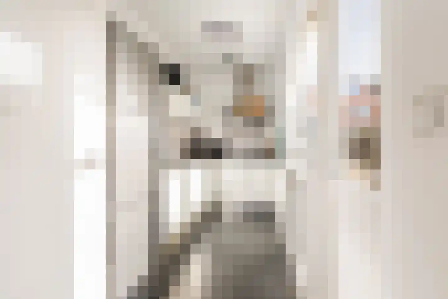 Curiestraat 21 Hilversum thumbnail 12