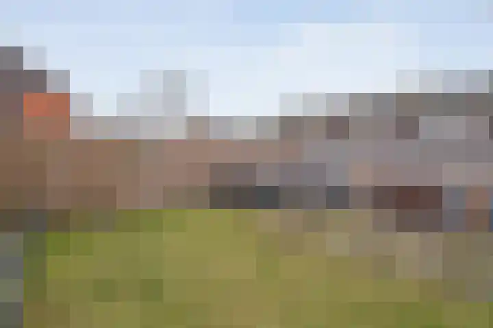 Curiestraat 211 Hoogeveen thumbnail 29