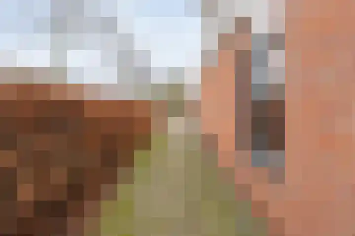 Curiestraat 211 Hoogeveen thumbnail 32