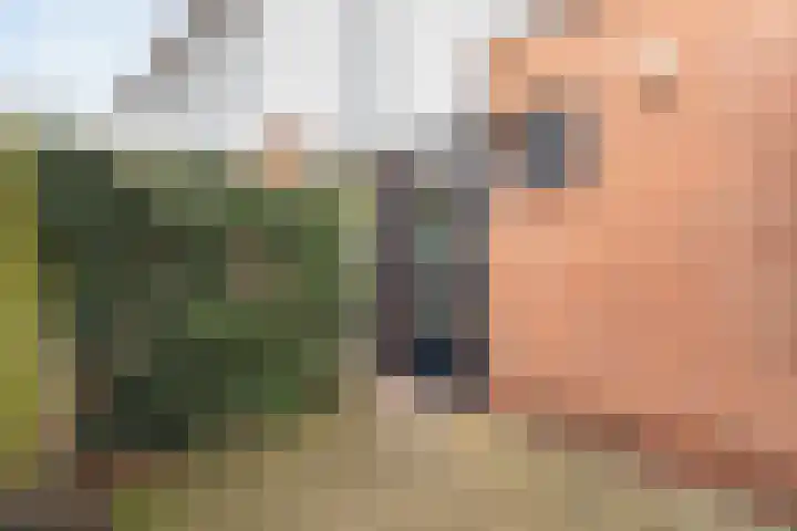 Curiestraat 211 Hoogeveen thumbnail 36