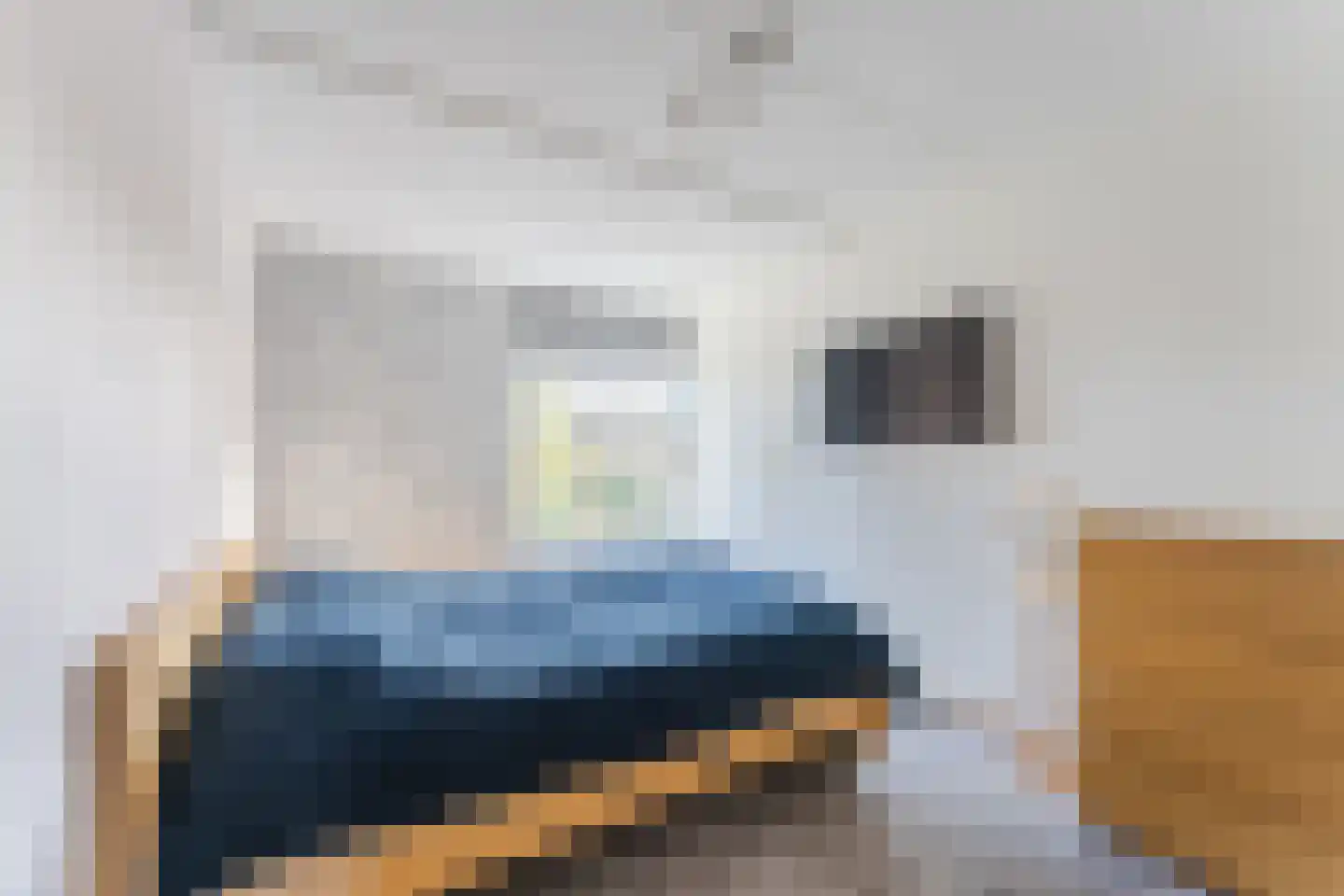 Curiestraat 35 Apeldoorn thumbnail 26