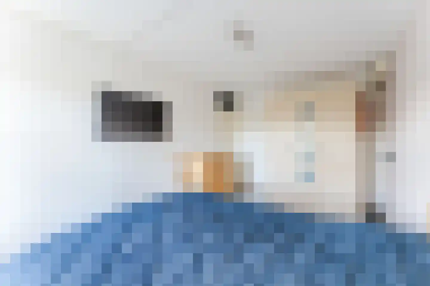 Curiestraat 35 Apeldoorn thumbnail 28