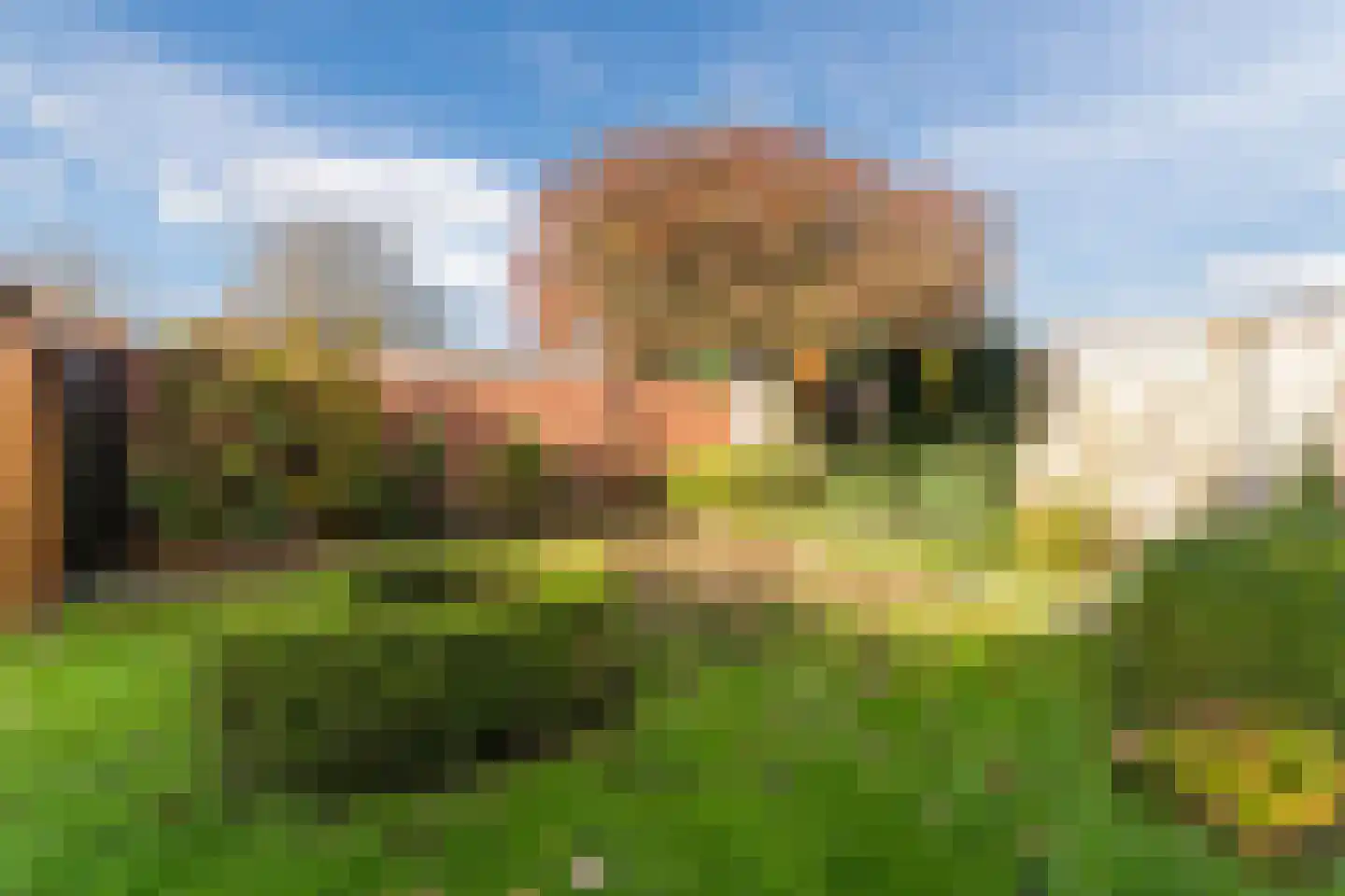 Curiestraat 35 Apeldoorn thumbnail 43