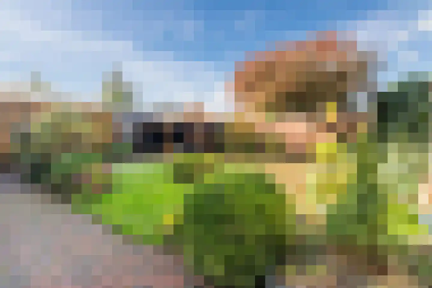 Curiestraat 35 Apeldoorn thumbnail 44