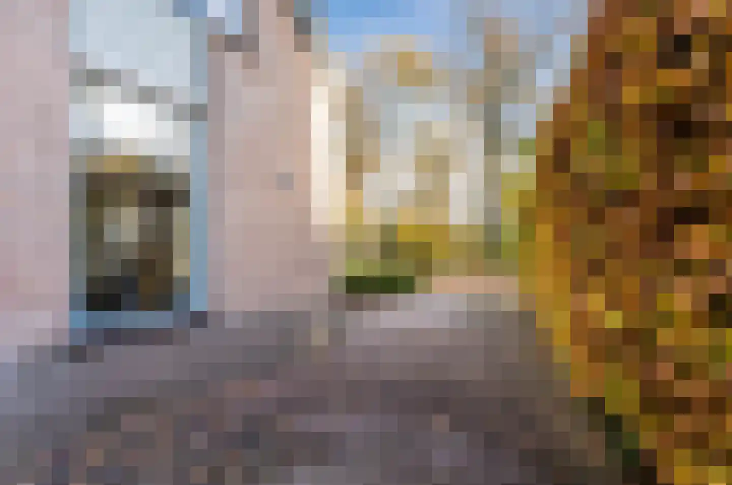 Curiestraat 35 Apeldoorn thumbnail 60