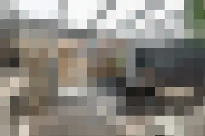 Curiestraat 37 Hilversum thumbnail 32