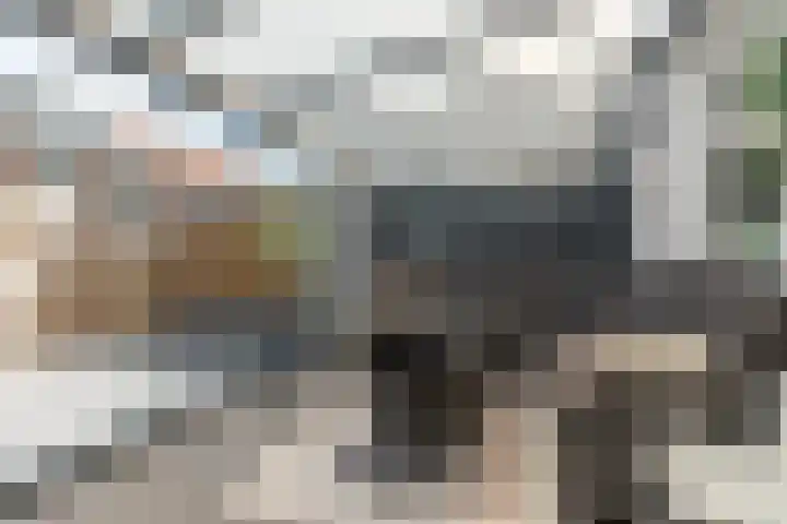 Curiestraat 37 Hilversum thumbnail 33