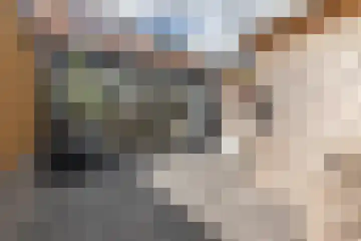 Curiestraat 37 Hilversum thumbnail 37