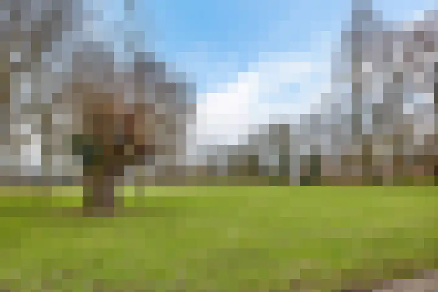 Curiestraat 39 Hengelo thumbnail 6
