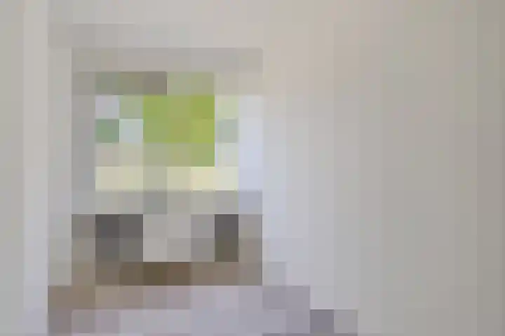 Curiestraat 53 Hengelo thumbnail 32