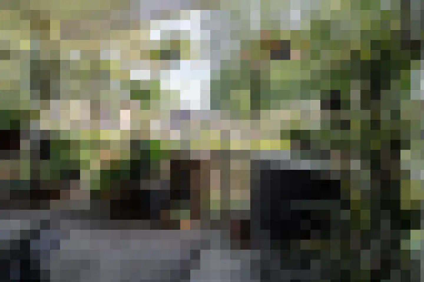 Curiestraat 57 Hengelo thumbnail 20