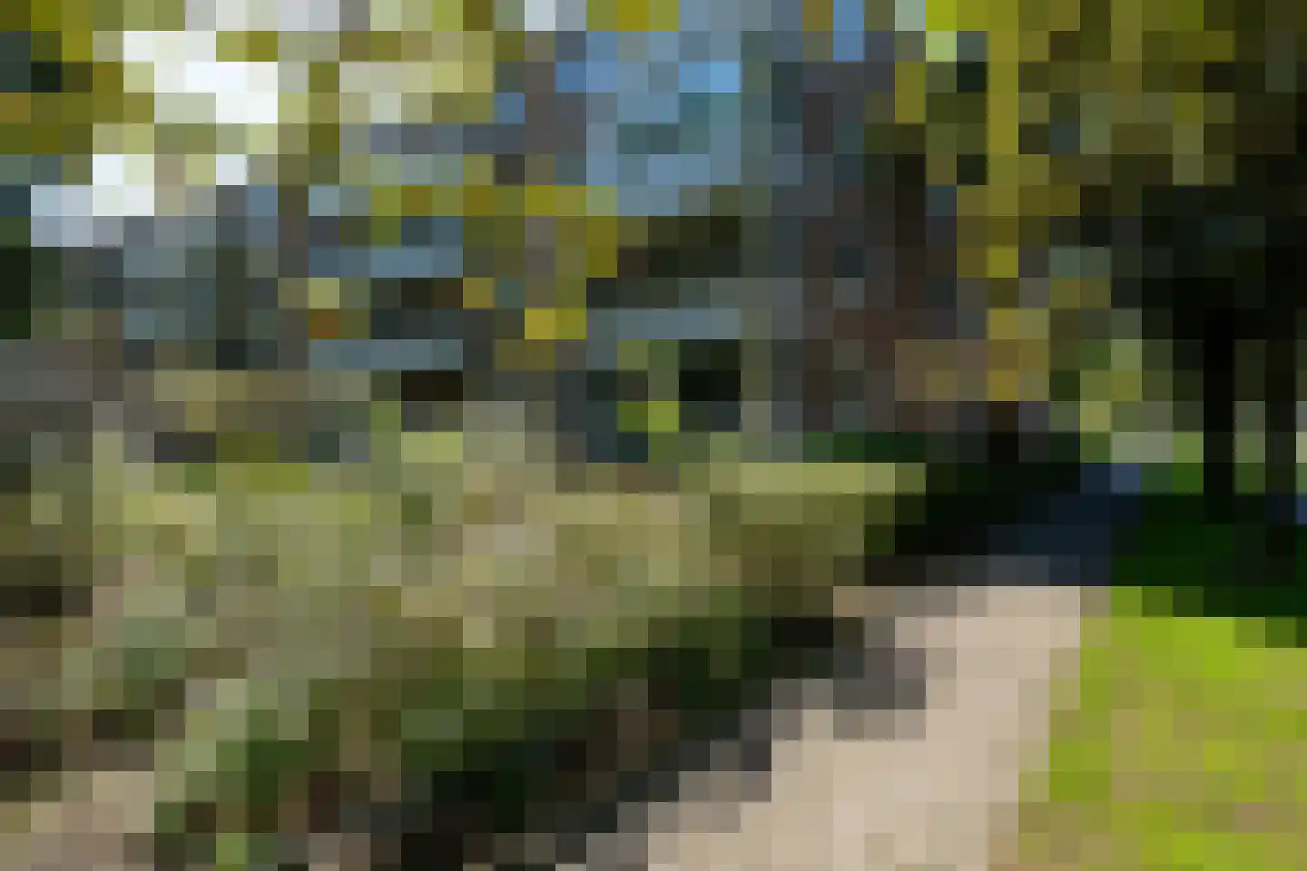 Curiestraat 57 Hengelo thumbnail 32