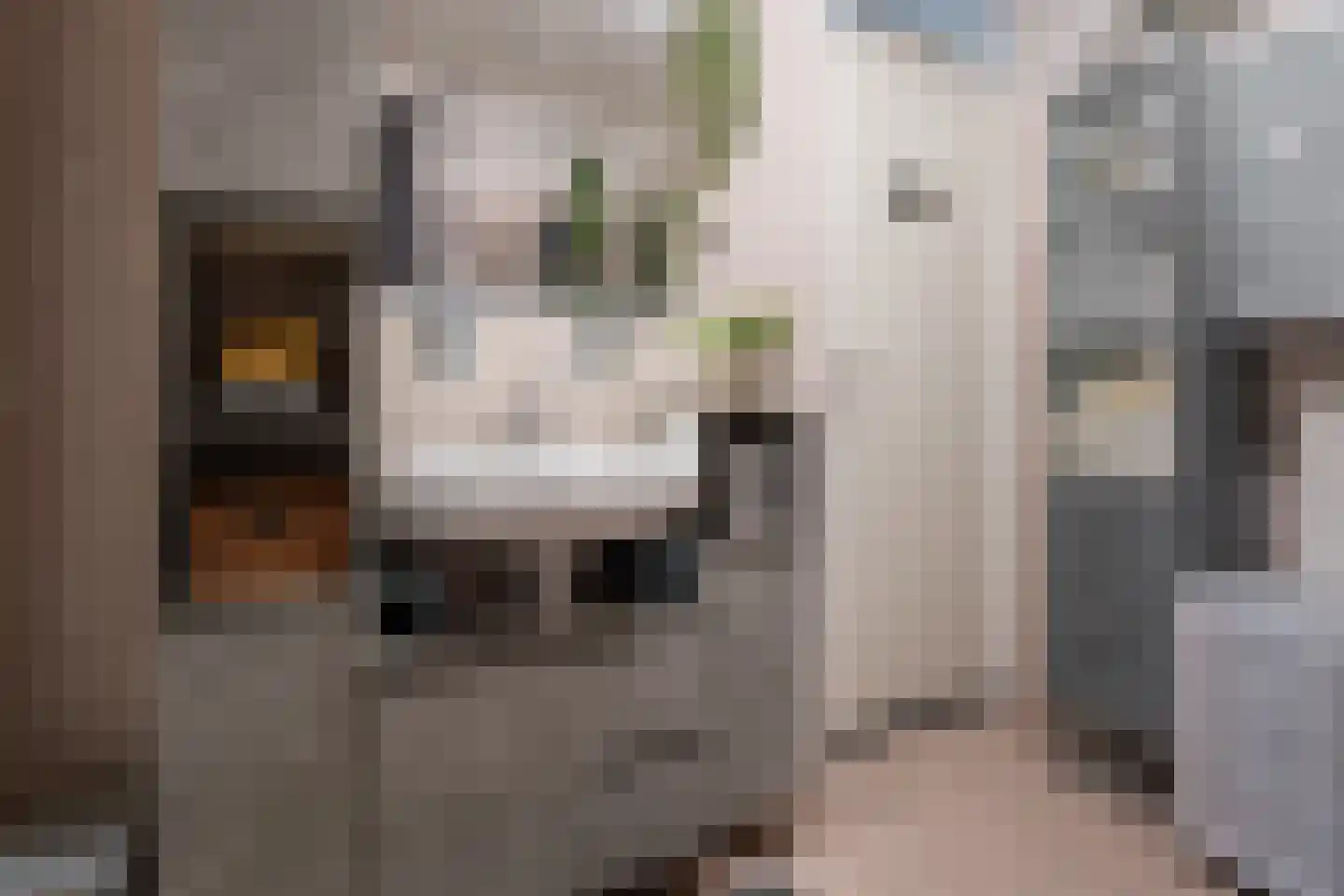 Curiestraat 57 Hengelo thumbnail 7
