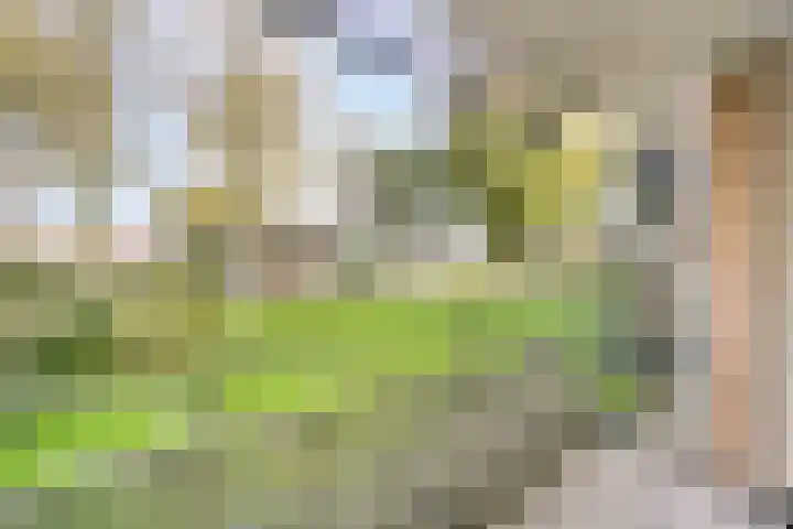 Curiestraat 69 Hengelo thumbnail 21
